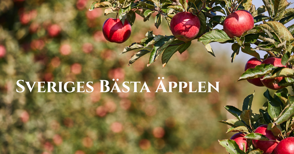 Räda äpplen hänger från et trädgren och fler äppelträd skymtar i bakgrunden. Texten "Sveriges bästa äpplen" står med vida bokstäver.